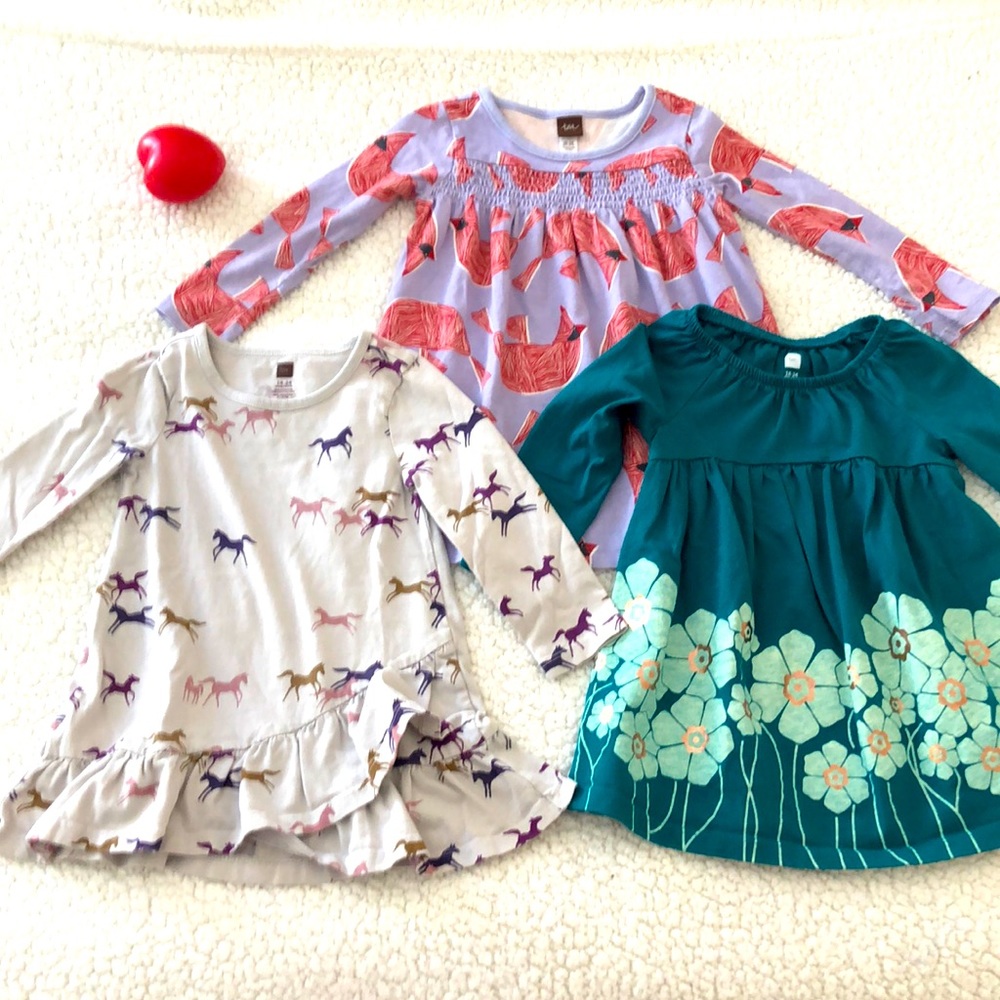 Tea collection 18-24 months dress bundle